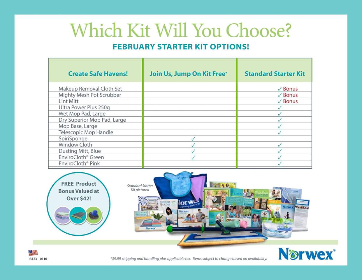 Join Norwex as a consultant for free this month!