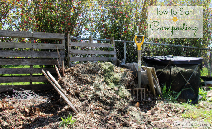 I didn't know how to start composting, so I asked an expert!