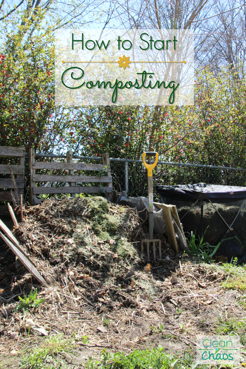 Composting 101: How to Start Composting