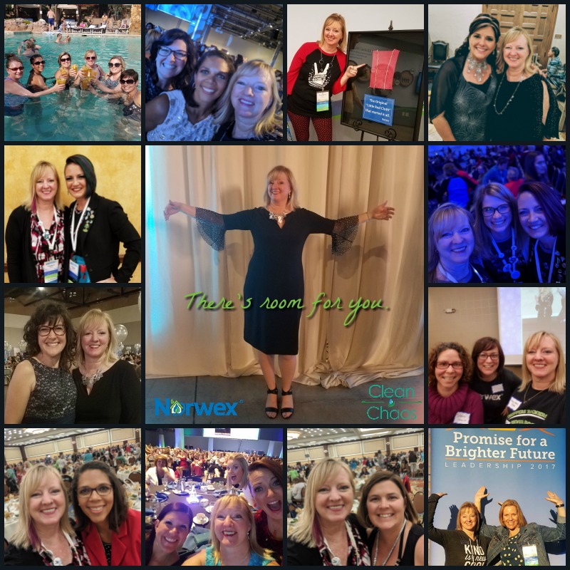 FAQs on Becoming a Norwex Consultant - Clean Chaos