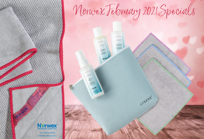It's the month of love, and I'd love to share with you our Norwex February 2021 specials!