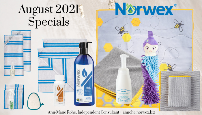 Norwex Fall 2021 New Products - Clean Chaos