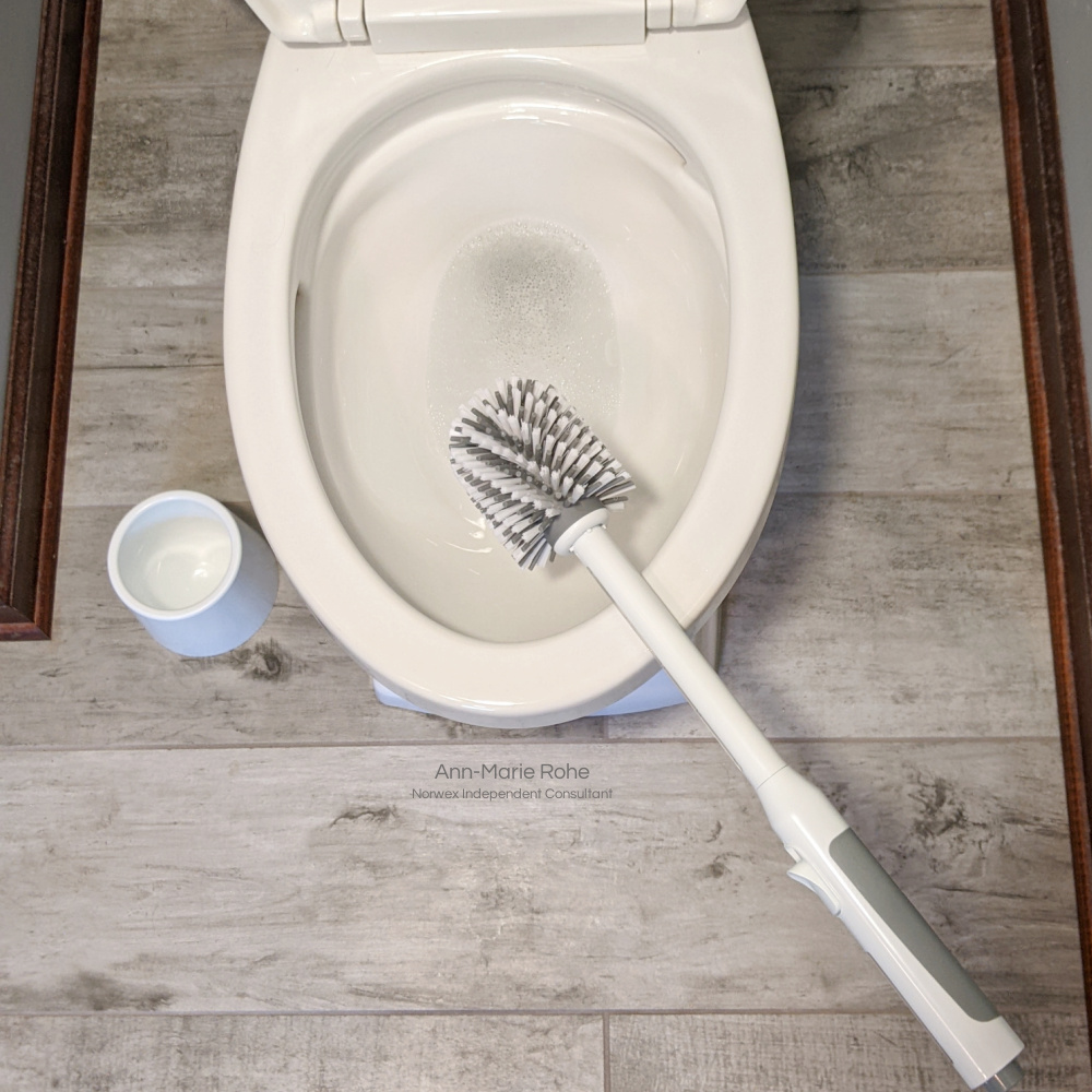 A Review of the NEW Norwex Toilet Bowl Cleaning System {2023} 